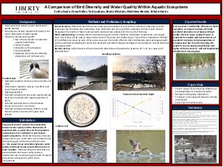 A Comparison of Bird Diversity and Water Quality Within Aquatic Ecosystems